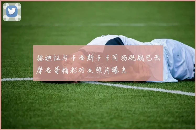 赫迪拉与卡洛斯卡卡同场观战巴西摩洛哥精彩对决照片曝光
