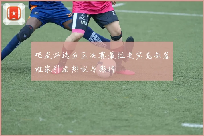 吧友评选分区决赛最拉奖究竟花落谁家引发热议与期待